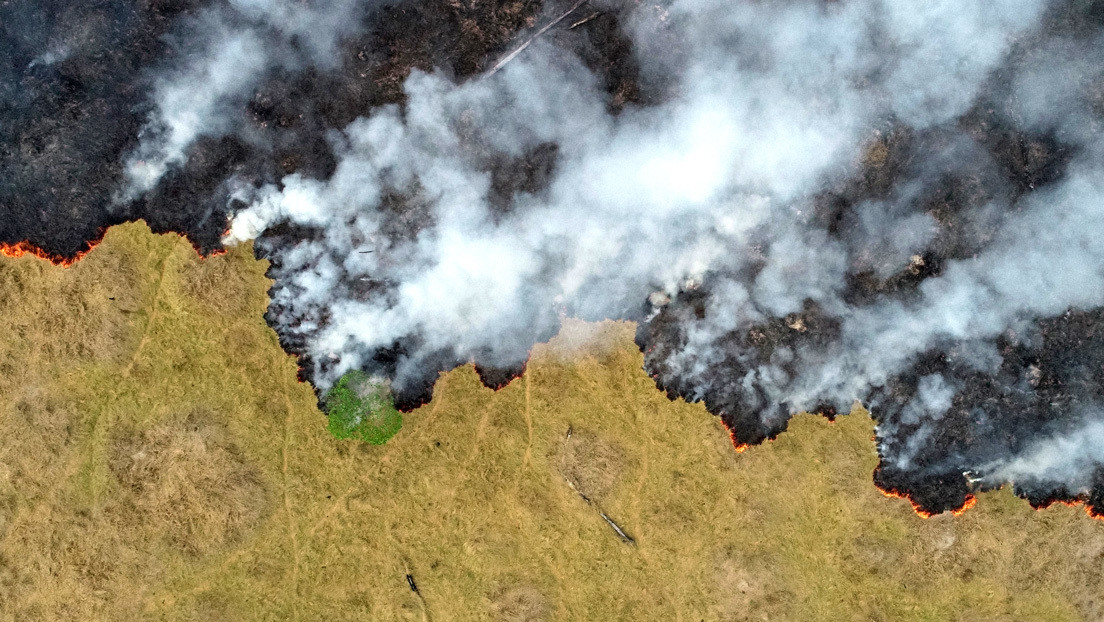 Los focos de incendios en la Amazonía aumentaron un 30 % en 2019