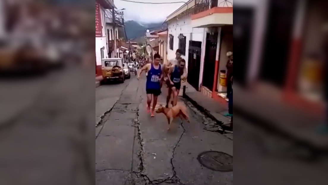 Un atleta colombiano patea a un perro en plena carrera y el repudio provoca que pierda a su patrocinador