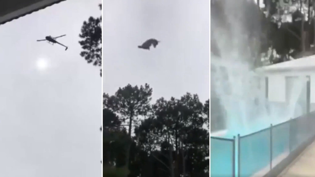 Lanzan un cerdo desde un helicóptero a la piscina de un empresario argentino, lo graban en video y escandaliza a las redes