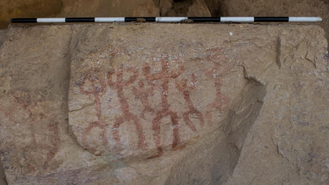 "Aventurero" descubre accidentalmente una antigua cueva con pinturas de personas y burros en Egipto (FOTOS)