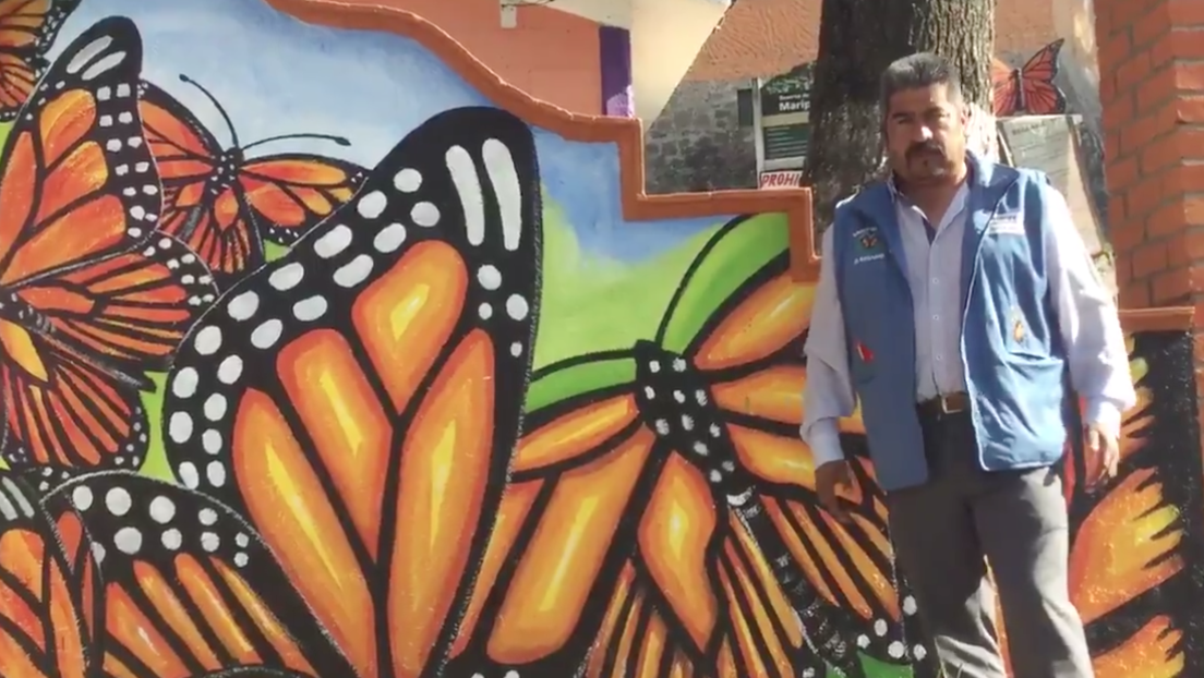 Encuentran muerto en México al defensor de la mariposa monarca Homero Gómez, tras denunciarse su desaparición hace dos semanas