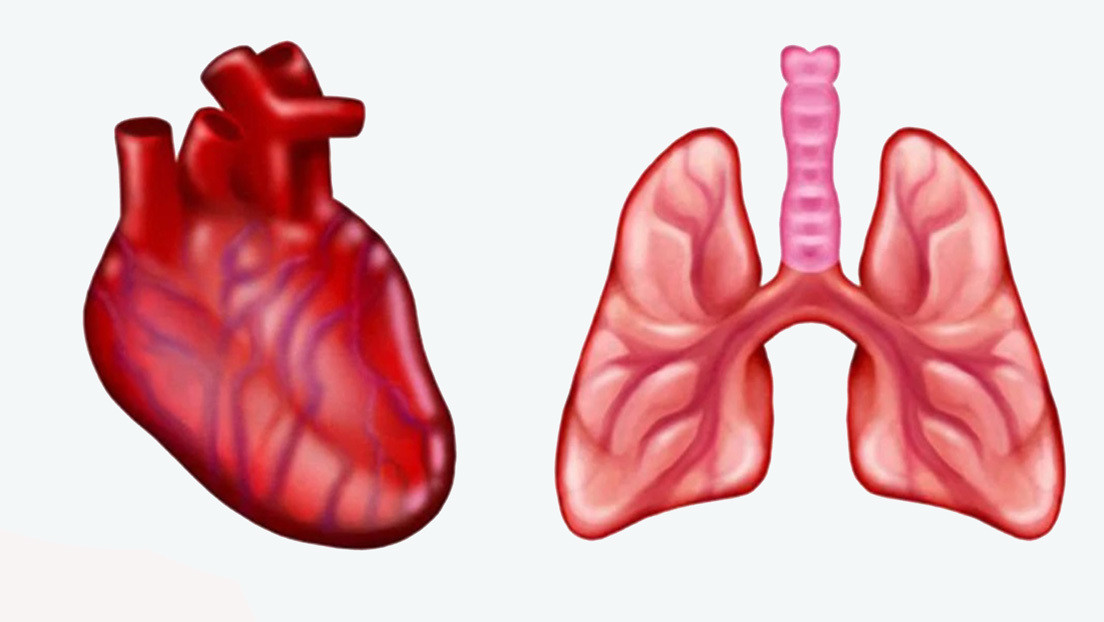 Crean emojis de corazón y pulmones anatómicamente correctos para dispositivos móviles