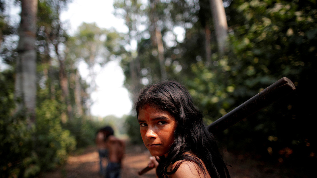 La deforestación en la Amazonía brasileña en enero pasado alcanzó el nivel más alto en cuatro años