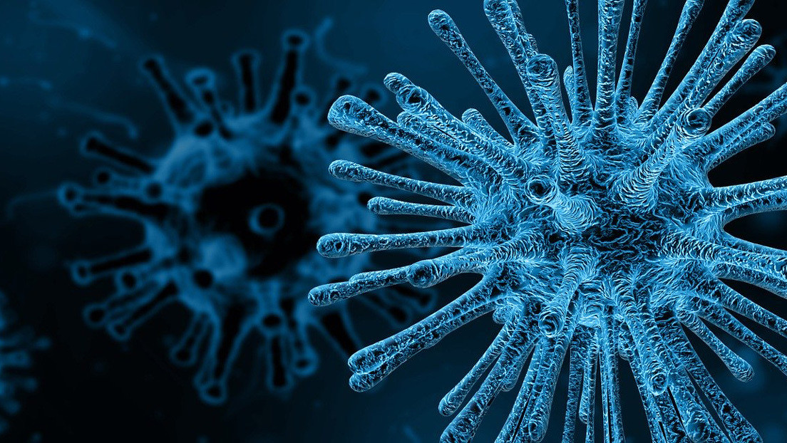 Descubren el 'talón de Aquiles' de los virus que podría abrir el camino a una vacuna universal contra las infecciones