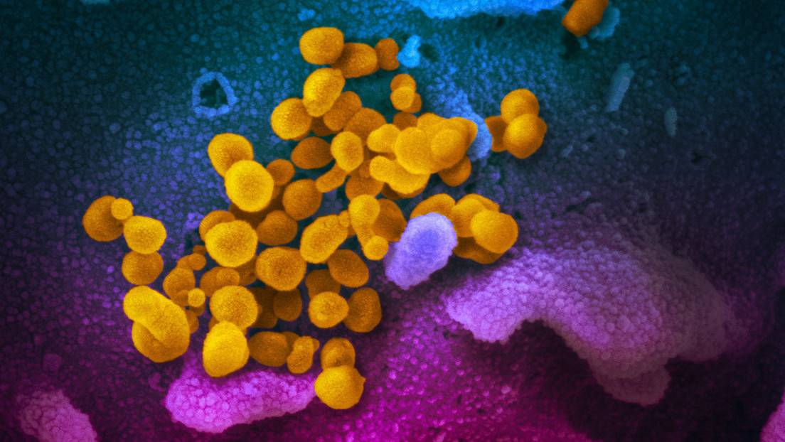Nuevas imágenes en color muestran cómo es el coronavirus
