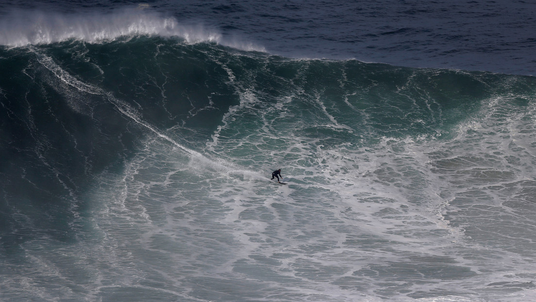 Un surfista aguarda por su ola al lado de un tiburón martillo y ni se da cuenta (VIDEO)