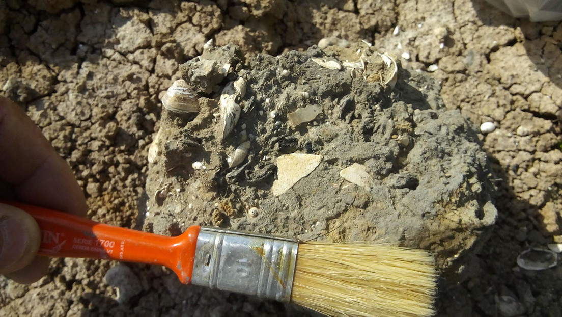 Descubren en Argentina una playa marítima de 5.000 años de antigüedad que estaba oculta por sedimentos