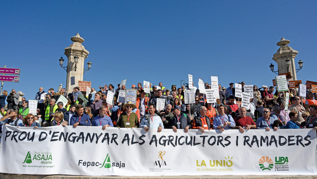 El sector estratégico del campo español en pie de lucha: ¿qué piden los agricultores y ganaderos?