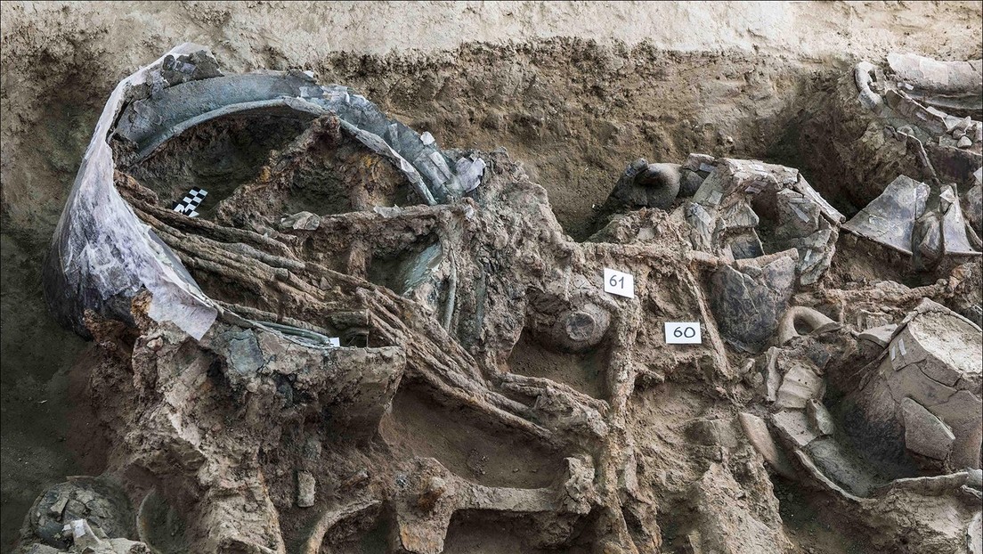 Encuentran una tumba principesca del siglo VII a. C. en Italia con una colección extraordinaria de piezas