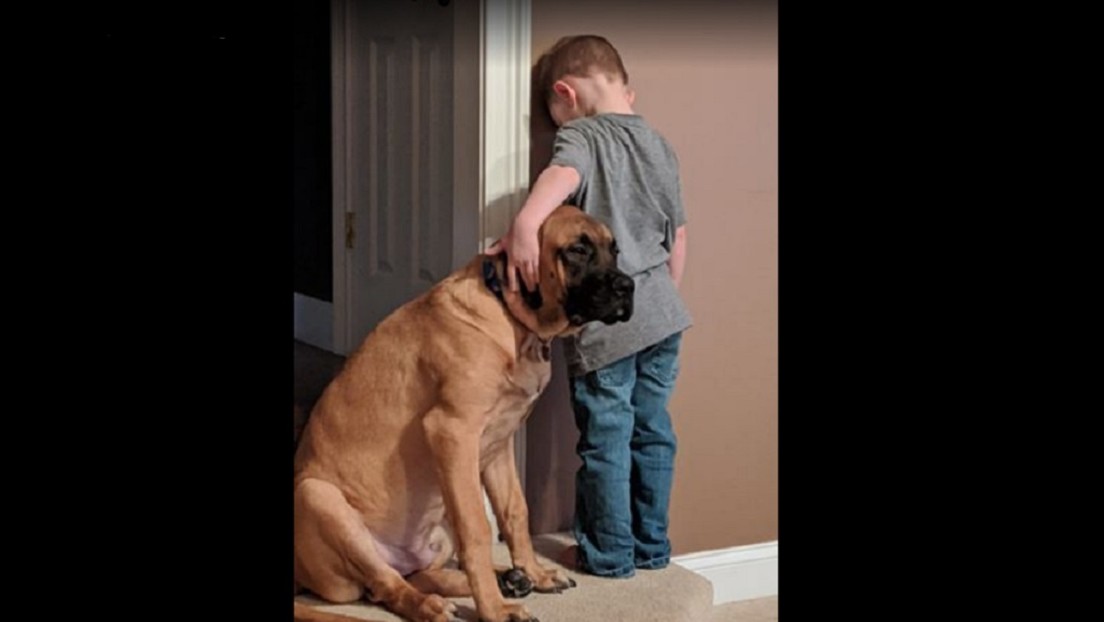 FOTO: Un niño es castigado y su perro le demuestra que los amigos están en las buenas y en las malas