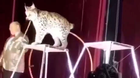 Captura de pantalla