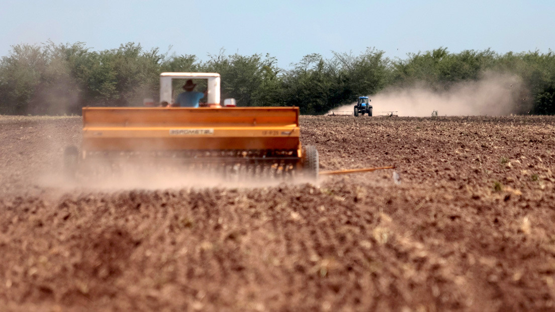 "Reacción desmesurada": la 'huelga' de terratenientes contra Alberto Fernández y el polémico pasado de la Sociedad Rural Argentina