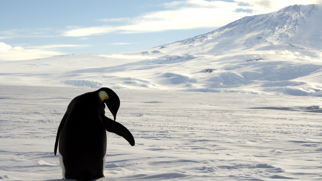 Se registra por primera vez una 'ola de calor' en la Antártida