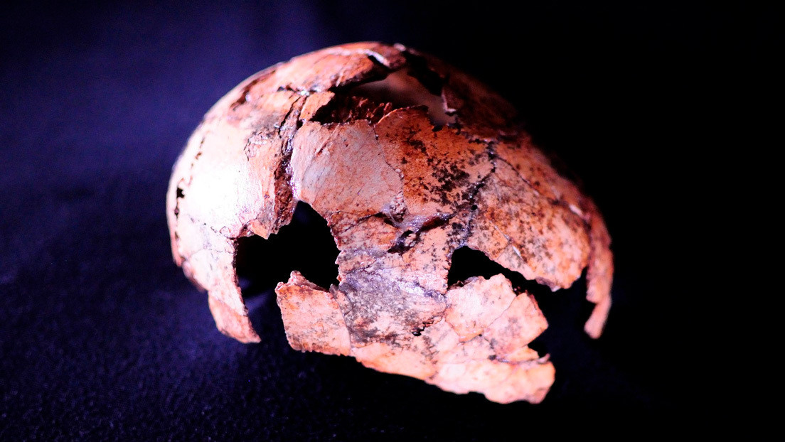 El cráneo de ‘Homo erectus’ descubierto en Sudáfrica apunta a que nuestro antepasado existió 200.000 años antes de lo que se pensaba