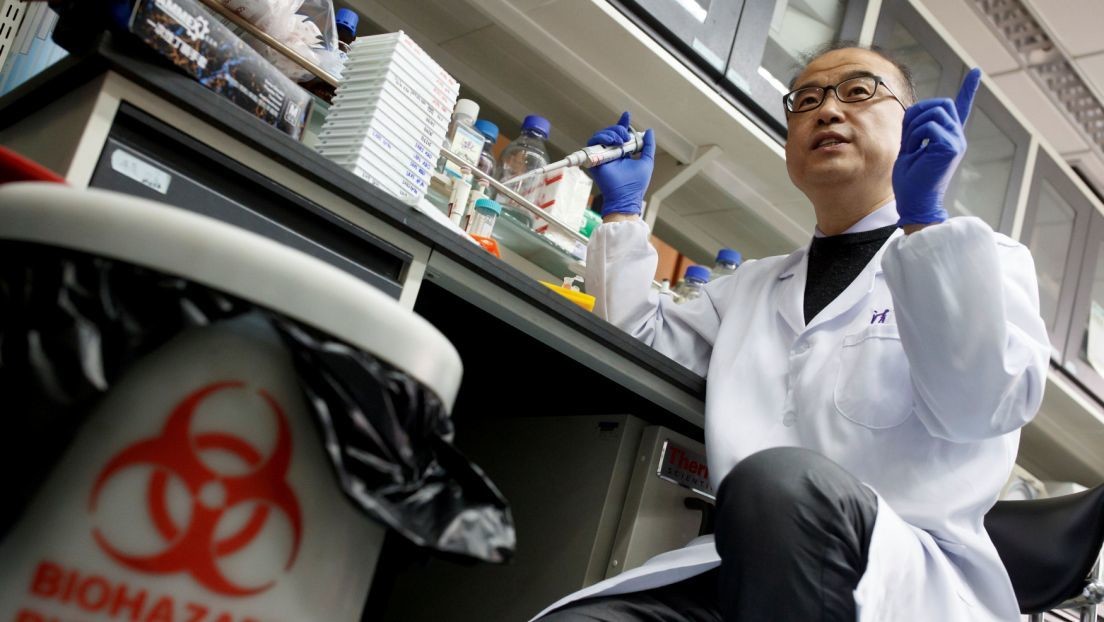 Científicos de EE.UU. y China se alían para buscar el origen del coronavirus