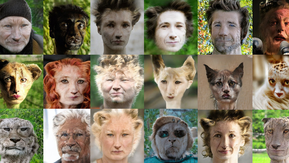 FOTOS, VIDEO: Así se ven rostros humanos en su 'versión' animal gracias a la inteligencia artificial