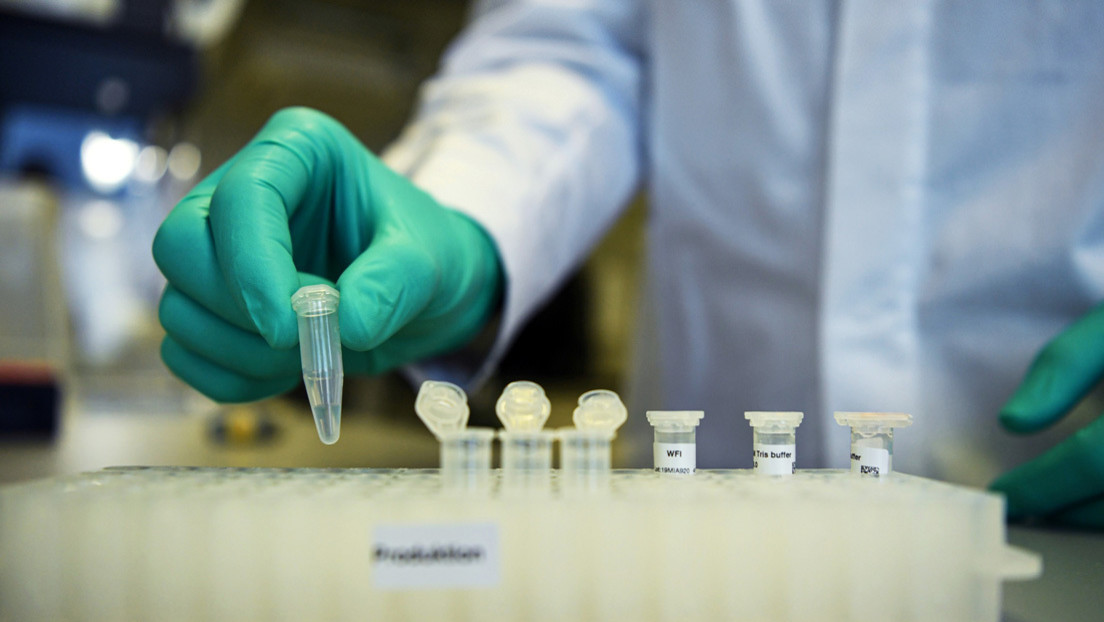 Realizan con éxito pruebas preclínicas de una vacuna contra el coronavirus en Alemania