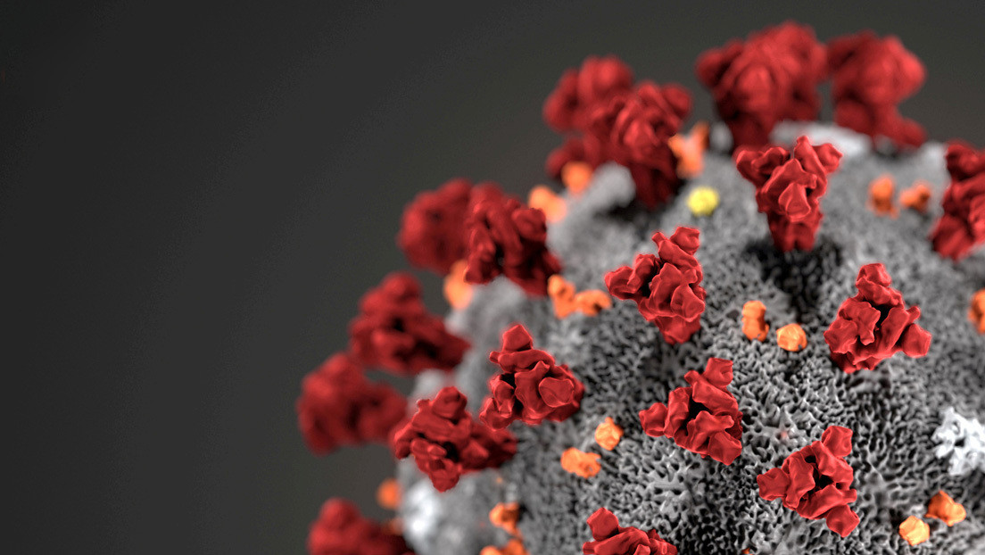 Un video 3D muestra en detalle la estructura del SARS-CoV-2