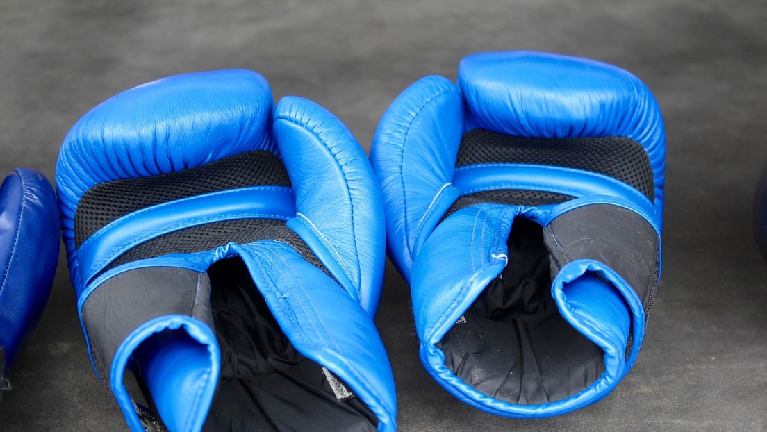 Denuncian a dos boxeadores por usar gatos como bolsas de entrenamiento en un gimnasio de Colombia
