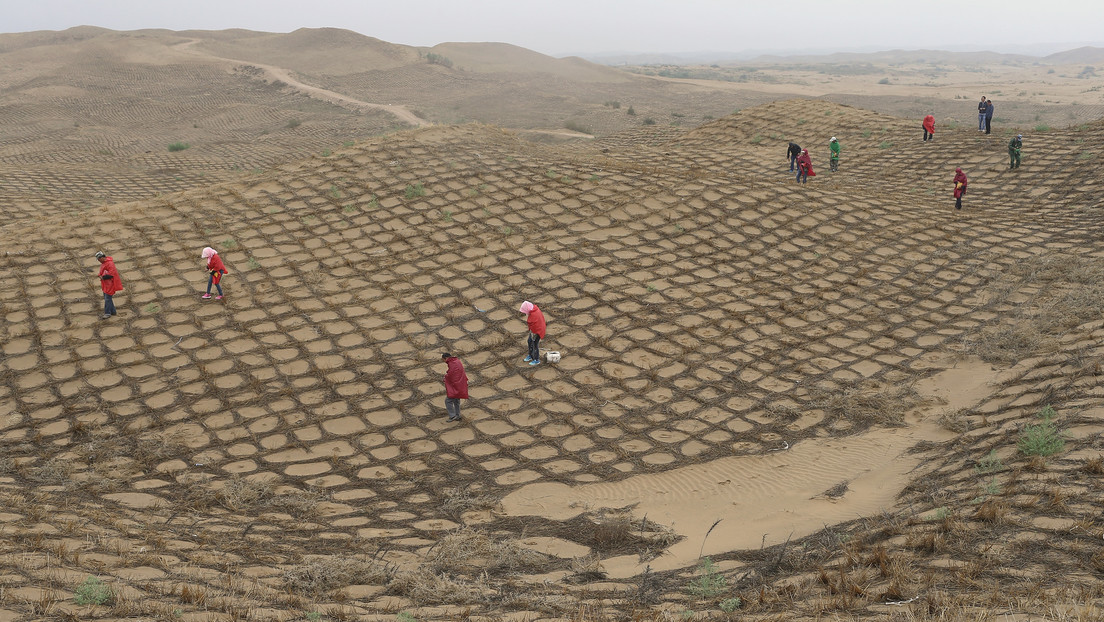 VIDEO: Un desierto en China se ha convertido en un oasis en 60 años
