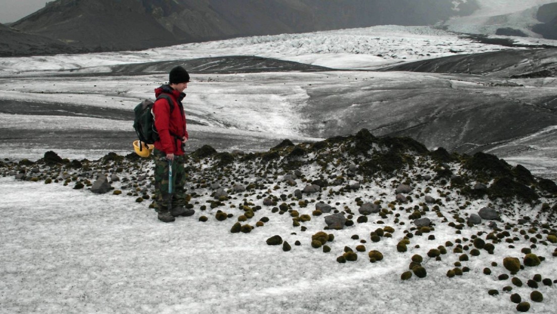 FOTOS: El raro fenómeno de los "ratones glaciares" sorprende a los científicos