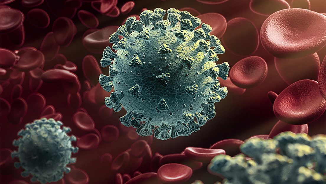 Una nueva mutación del coronavirus lo hace más infeccioso pero menos patógeno, según un nuevo estudio