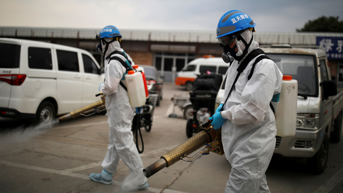 Casos de peste bubónica en Mongolia y China: ¿Hay que preocuparse o no?