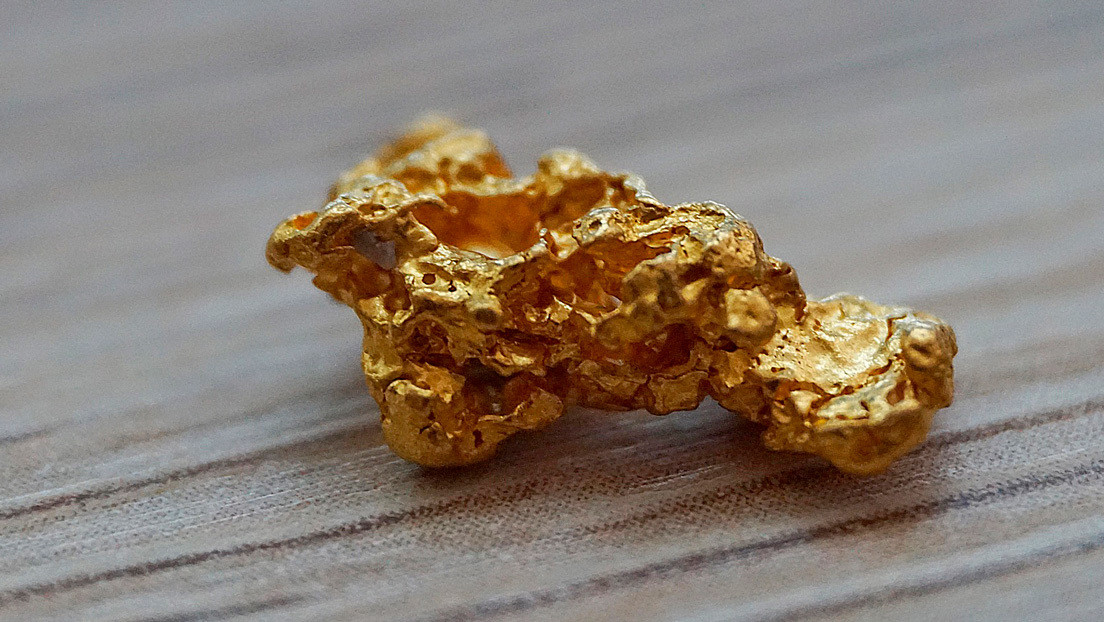 Una familia buscadora de tesoros encuentra dos pepitas de oro de un tamaño "nunca visto" (FOTOS)