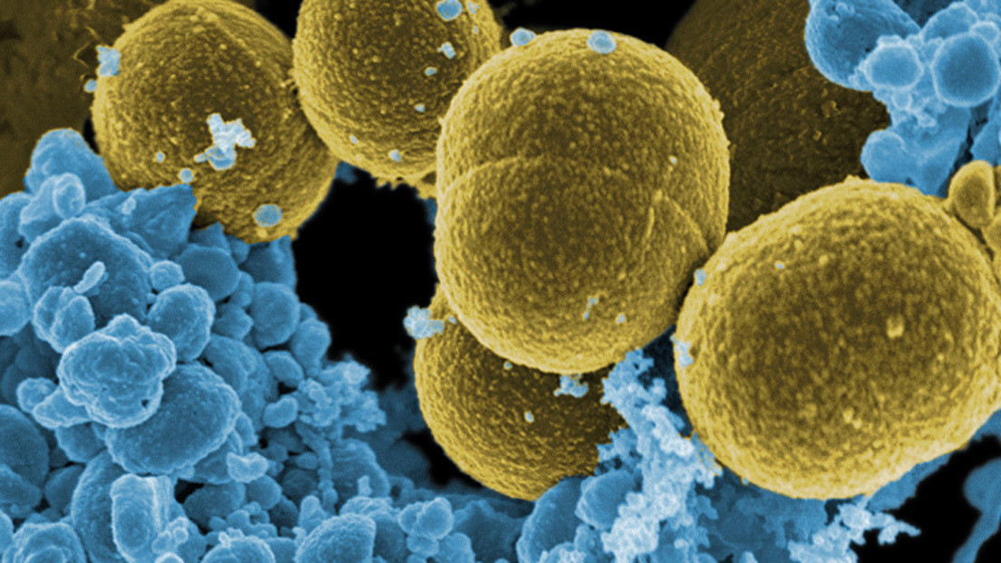 Las 'antivitaminas' pueden salvar a la humanidad de las infecciones resistentes a los antibióticos, afirma un nuevo estudio