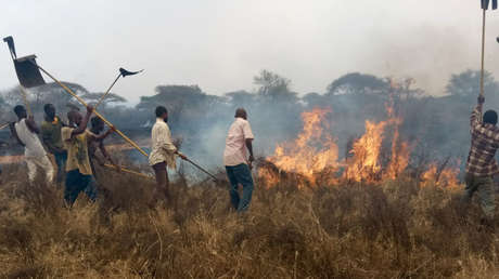 FOTOS, VIDEO: Un infernal incendio devora una extensa área de la mayor reserva de Kenia