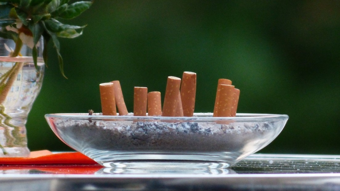 Científicos proponen reciclar colillas de cigarrillos y usarlas para fabricar ladrillos