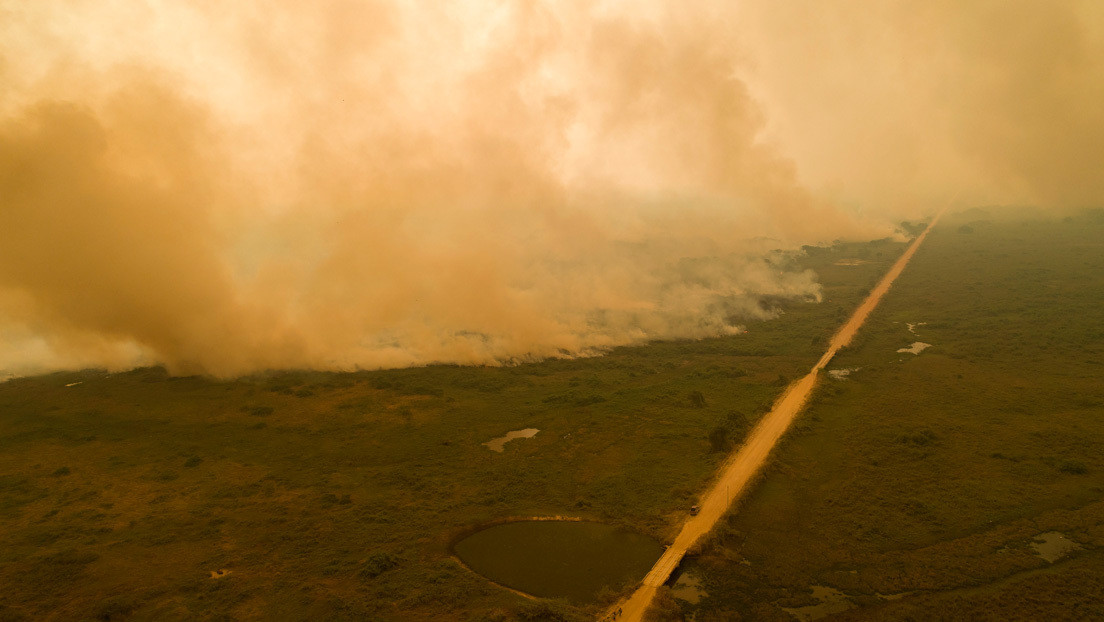 FOTOS: Los fuertes incendios en el Pantanal brasileño dejan reducido a cenizas un paraíso ecoturístico