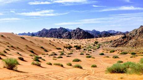 ¿Cómo llegaron los humanos a Eurasia? Huellas de hace 120.000 años halladas en Arabia Saudita dan una pista
