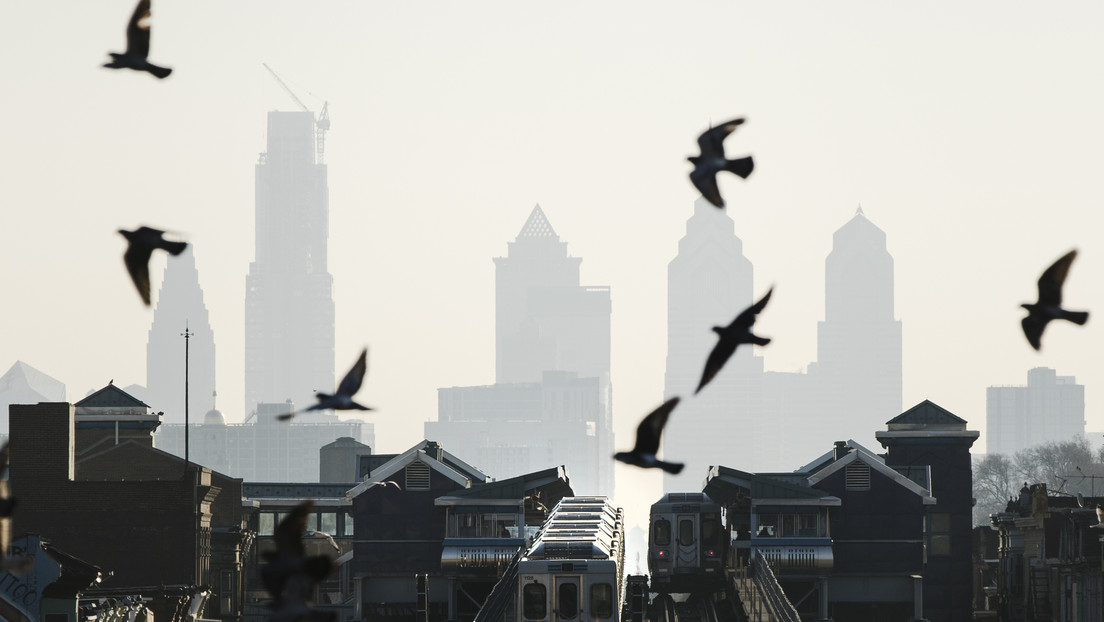 Hallan más de 1.000 pájaros muertos en las calles de Filadelfia tras chocar con rascacielos