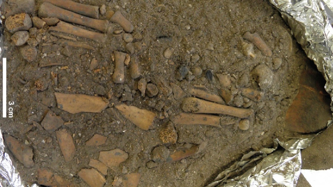 Descubren un inusual entierro infantil de 8.000 años en Indonesia