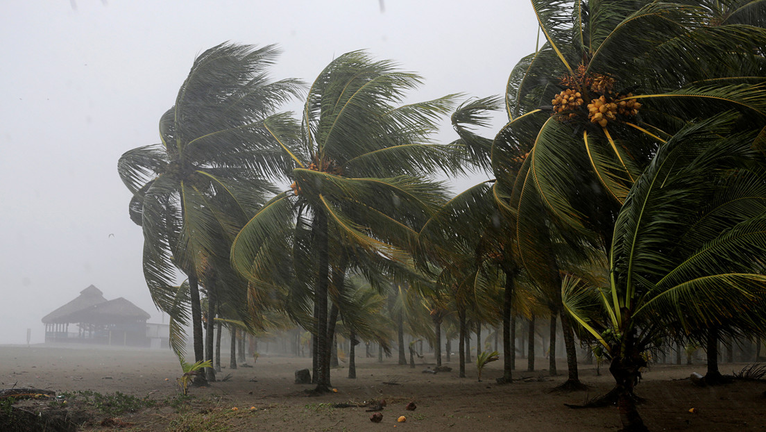 Eta deviene en poderosa tormenta tropical al avanzar hacia Cuba y amenaza al sur de Florida con una "marejada ciclónica potencialmente mortal"
