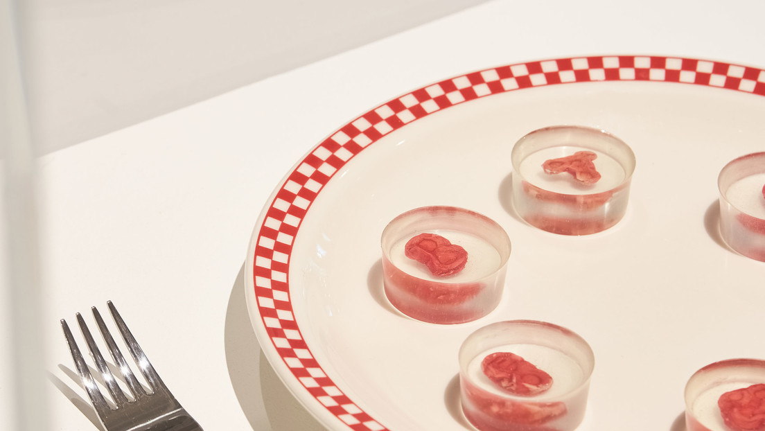 "Técnicamente, no es canibalismo": Presentan un kit para cultivar carne a partir de nuestras propias células
