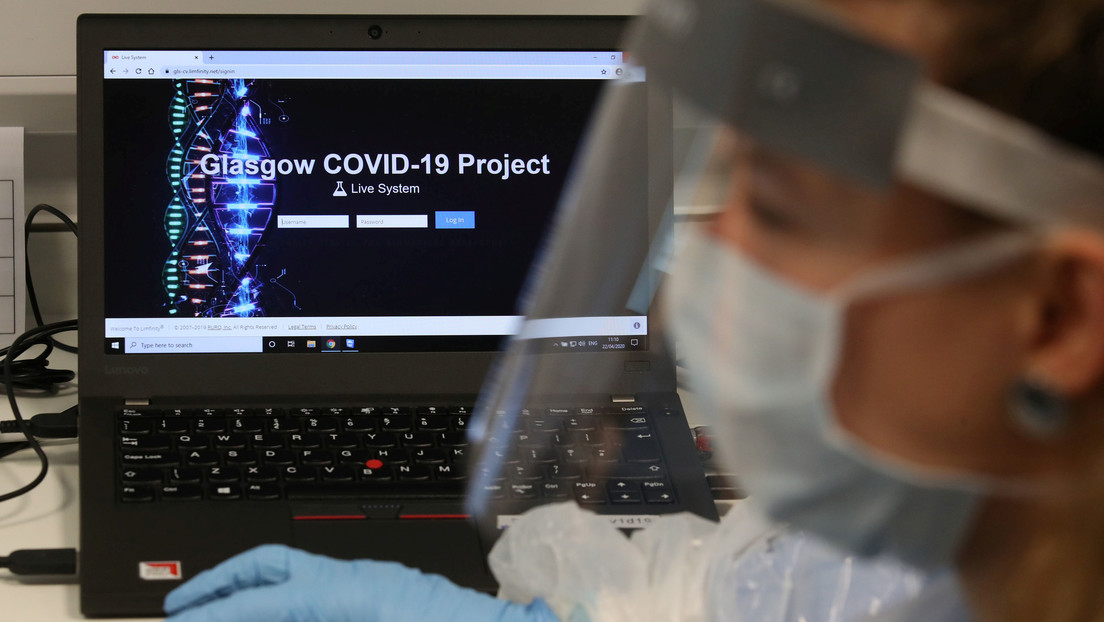La OMS: Las mutaciones del coronavirus en Sudáfrica y Reino Unido no están relacionadas