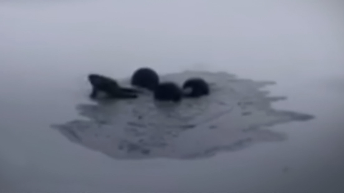 VIDEO: Un bloguero y su todoterreno se hunden bajo el hielo en un lago en el norte de Rusia