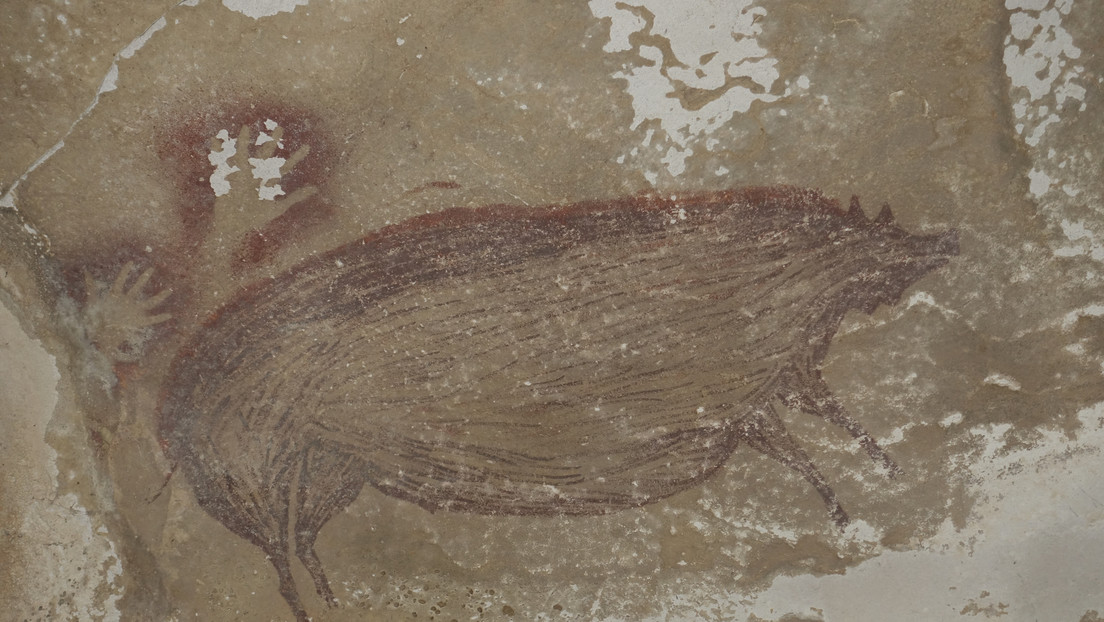 FOTO: Encuentran el arte rupestre más antiguo del mundo, calculado en 45.500 años de antigüedad, en una cueva de Indonesia