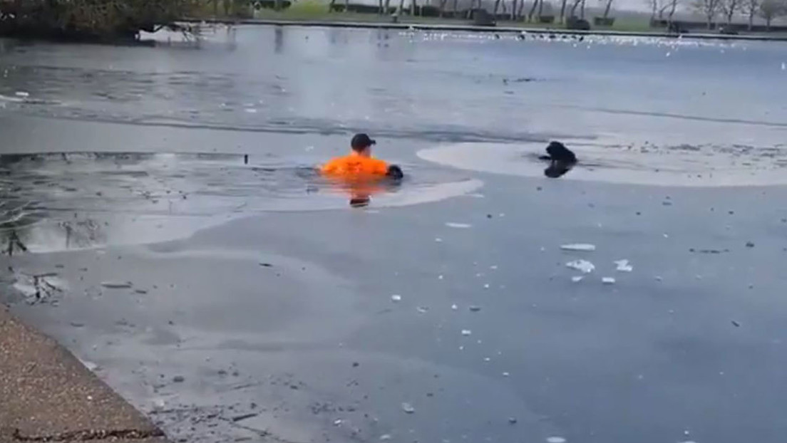 VIDEO: Un hombre salta a las aguas de un lago congelado para salvar a un perro