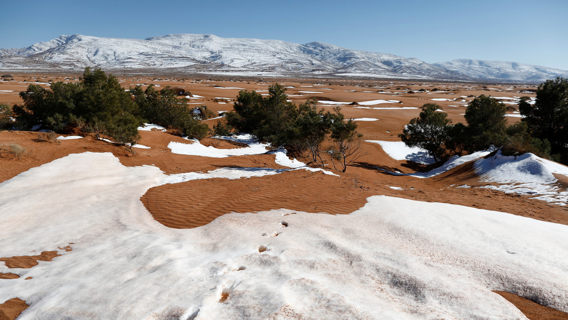 VIDEOS: Nieve tiñe de blanco una parte del desierto del Sahara y varias regiones de Arabia Saudita