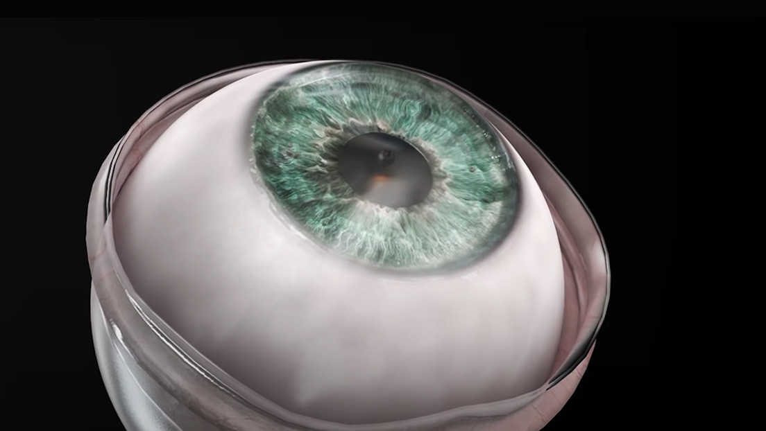 Un hombre ciego recupera la vista tras un implante de córnea artificial de nuevo tipo