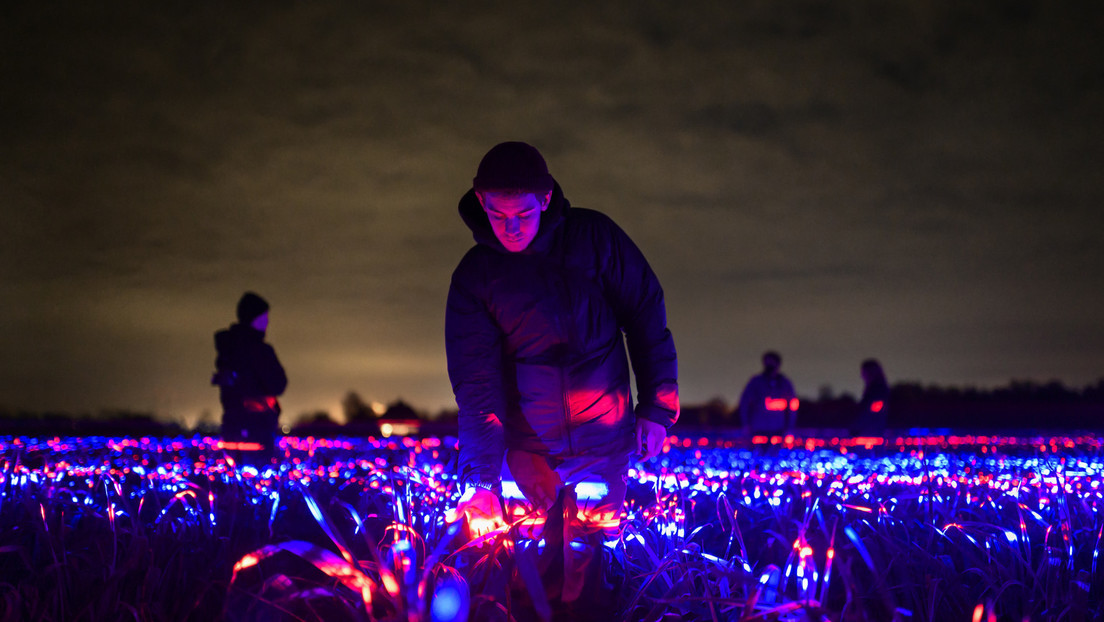 Un artista convierte un campo de puerros en una luminosa obra de arte de 20.000 metros cuadrados (VIDEO, FOTOS)