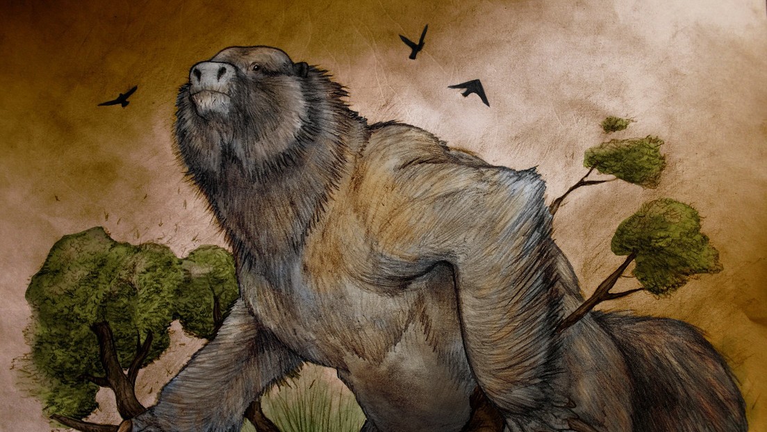 Descubren los restos de un perezoso gigante de más de 3,5 millones de años en Argentina