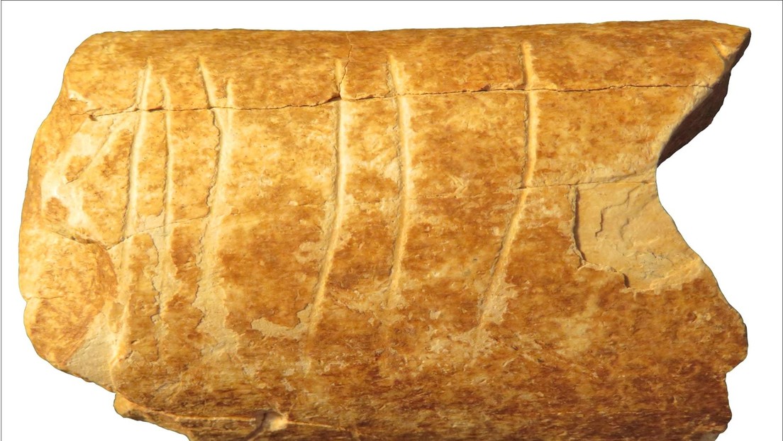 Hallan evidencia del uso humano más antiguo de símbolos en el hueso de una 'vaca' prehistorica