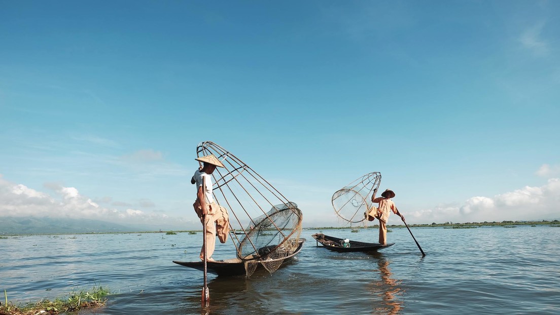 Pescadores encuentran una rara y costosa perla de color mandarina en Tailandia (FOTO)