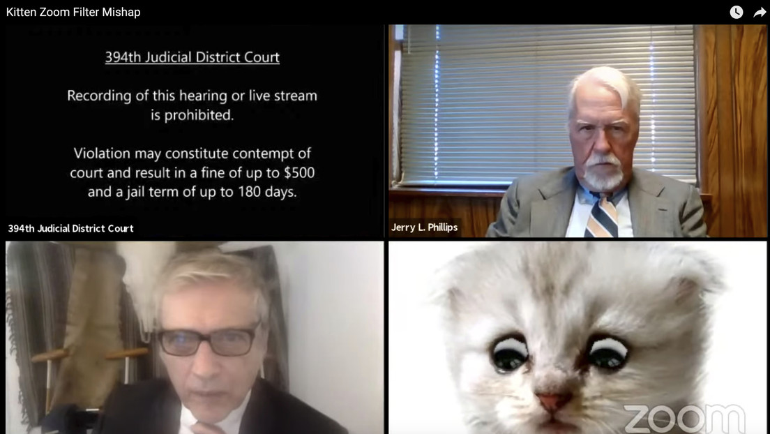 "Estoy aquí, no soy un gato": Un abogado de Texas comparece en una audiencia virtual y no logra apagar un filtro que lo hace ver como felino