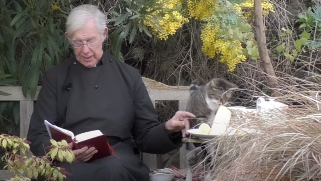 VIDEO: Un gato le roba un crepe a un sacerdote en pleno sermón