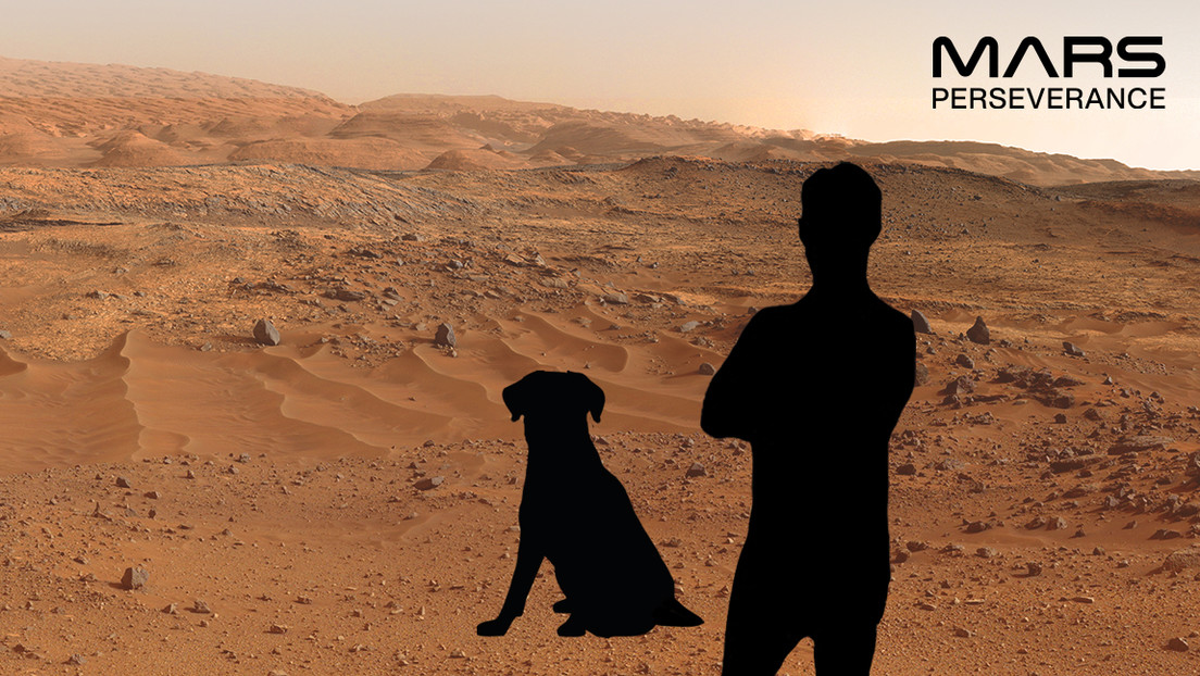 Gatos y Bernie Sanders 'colonizan' Marte gracias a una curiosa función lanzada por la NASA (FOTOS)